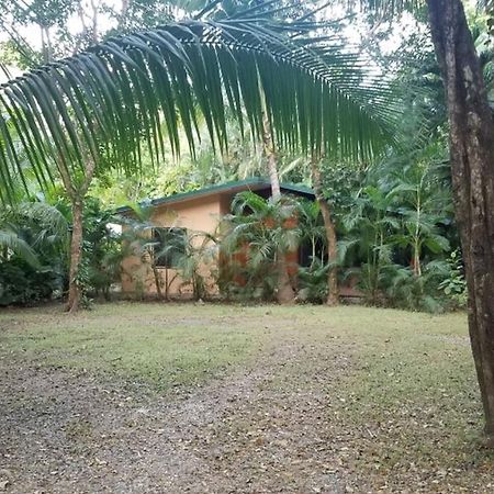 Nosara Paradise Rentals Exterior photo